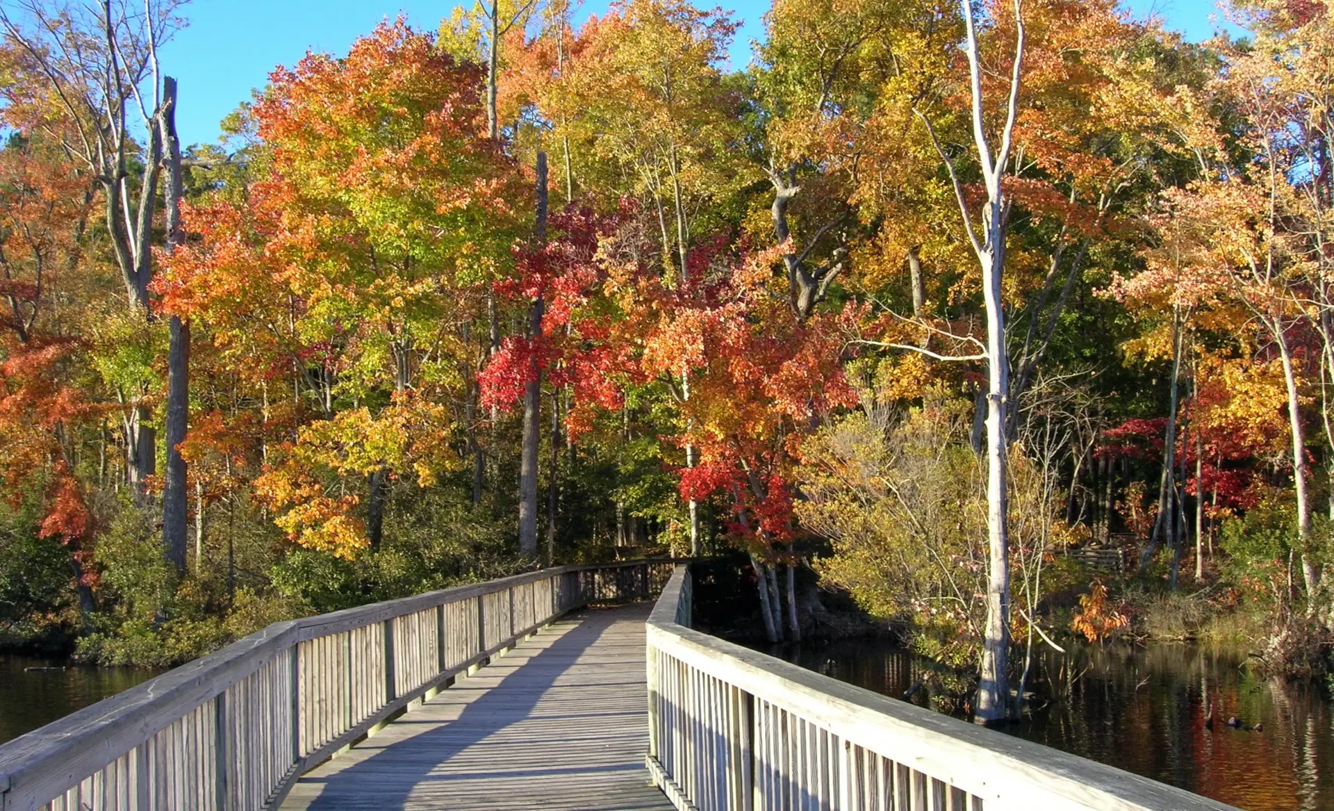 Beech Creek Property Management